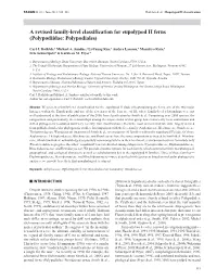 A Revised Family-Level Classification for Eupolypod II Ferns (Polypodiidae: Polypodiales)