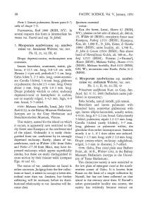 Sandwicense, Such As Webster 1081 from Oahu Specimens Examined