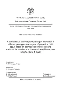 A Comparative Study of Plant-Pathogen Interaction In