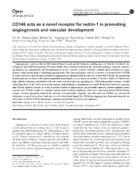 CD146 Acts As a Novel Receptor for Netrin-1 in Promoting Angiogenesis and Vascular Development