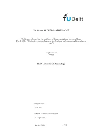 Bsc Report APPLIED MATHEMATICS Delft University of Technology