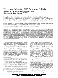 The Second Subunit of DNA Polymerase Delta Is Required for Genomic Stability and Epigenetic Regulation1[OPEN]