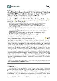 Combination of Alanine and Glutathione As Targeting Ligands of Nanoparticles Enhances Cargo Delivery Into the Cells of the Neurovascular Unit
