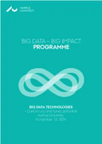 Big Data – Big Impact Programme