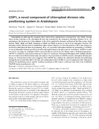 CDP1, a Novel Component of Chloroplast Division Site Positioning System in Arabidopsis