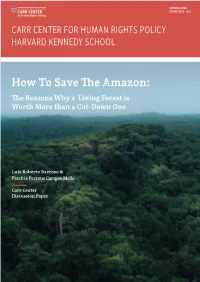 How to Save the Amazon: the Reasons Why a Living Forest Is Worth More Than a Cut-Down One