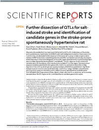 Further Dissection of Qtls for Salt-Induced Stroke And
