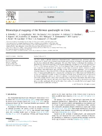 Mineralogical Mapping of the Kerwan Quadrangle on Ceres