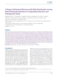 A Comparative Genomic and Phylogenetic Study
