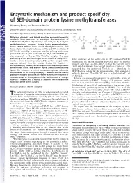 Enzymatic Mechanism and Product Specificity of SET-Domain Protein Lysine Methyltransferases