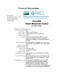 Propagation Protocol for Production of Container Sorbus Scopulina Greene