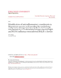 Identification of Anti-Inflammatory Constituents in Hypericum Species and Unveiling the Underlying Mechanism in LPS-Stimulated M