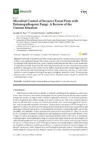 Microbial Control of Invasive Forest Pests with Entomopathogenic Fungi: a Review of the Current Situation