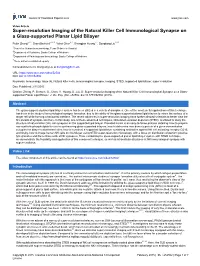 Super-Resolution Imaging of the Natural Killer Cell Immunological Synapse on a Glass-Supported Planar Lipid Bilayer