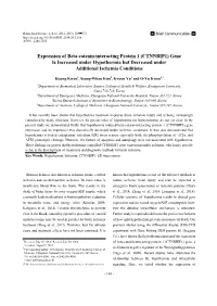 Expression of Beta-Catenin-Interacting Protein 1 (CTNNBIP1) Gene Is Increased Under Hypothermia but Decreased Under Additional Ischemia Conditions