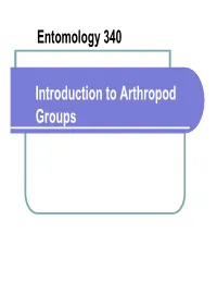 Introduction to Arthropod Groups What Is Entomology?