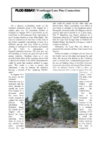 Wonthaggi-Lone Pine Connection