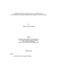 Conservation and Recovery of the Yellow Mud Turtle (Kinosternon Flavescens) in Mason and Tazewell Counties, Illinois