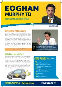 Murphy TD Representing You in Dáil Éireann