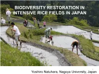 Provision of Ecosystem Services by Paddy Fields As Surrogates Of