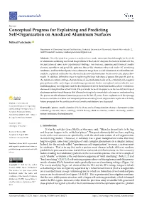 Conceptual Progress for Explaining and Predicting Self-Organization on Anodized Aluminum Surfaces