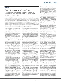 The Initial Steps of Myofibril Assembly: Integrins Pave The