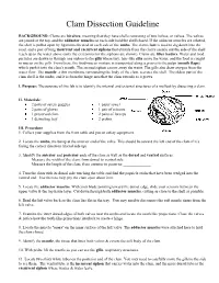 Clam Dissection Guideline