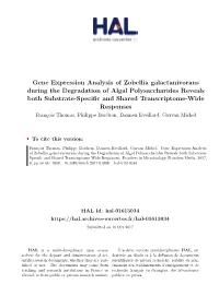 Gene Expression Analysis of Zobellia Galactanivorans During The