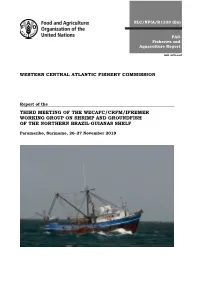 Report of the Third Meeting of the WECAFC/CRFM/IFREMER Working