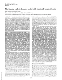 The Kinesin Walk: a Dynamic Model with Elastically Coupled Heads