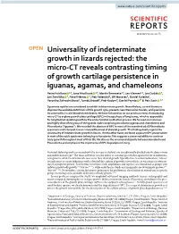 Universality of Indeterminate Growth in Lizards Rejected