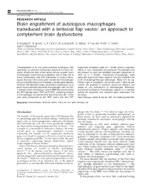 Brain Engraftment of Autologous Macrophages Transduced with a Lentiviral ﬂap Vector: an Approach to Complement Brain Dysfunctions