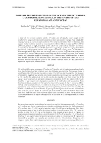 Notes on the Reproduction of the Oceanic Whitetip Shark, Carcharhinus Longimanus, in the Southwestern Equatorial Atlantic Ocean