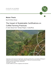 The Impact of Sustainable Certifications on Coffee Farming Practices