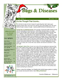 Bugs and Diseases Newsletter December 2015