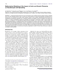 Mathematical Modeling of the Impact of Actin and Keratin Filaments On&Nbsp;Keratinocyte Cell Spreading