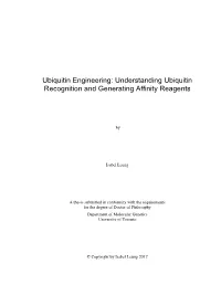 Understanding Ubiquitin Recognition and Generating Affinity Reagents
