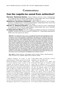 Can the Vaquita Be Saved from Extinction?