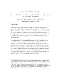 Grounding and Metametaphysics
