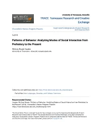 Patterns of Behavior: Analyzing Modes of Social Interaction from Prehistory to the Present