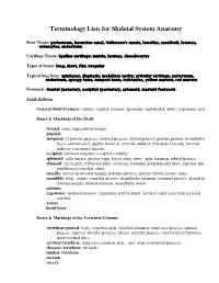 Terminology List for Skeleton