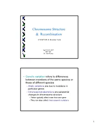 Chromosome Structure & Recombination