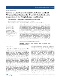 Barcode of Life Data Systems (BOLD) Versus Genbank Molecular Identification of a Dragonfly from the UAE in Comparison to the Morphological Identification