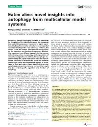 Novel Insights Into Autophagy from Multicellular Model Systems