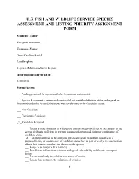 Species Assessment and Listing Priority Assignment Form