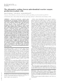 The Alternative Oxidase Lowers Mitochondrial Reactive Oxygen Production in Plant Cells