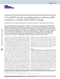 A U1 Snrnp–Specific Assembly Pathway Reveals the SMN Complex As a Versatile Hub for RNP Exchange