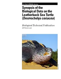 Dermochelys Coriacea)