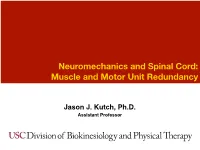 Neuromechanics and Spinal Cord: Muscle and Motor Unit Redundancy