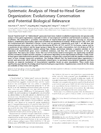 Systematic Analysis of Head-To-Head Gene Organization: Evolutionary Conservation and Potential Biological Relevance